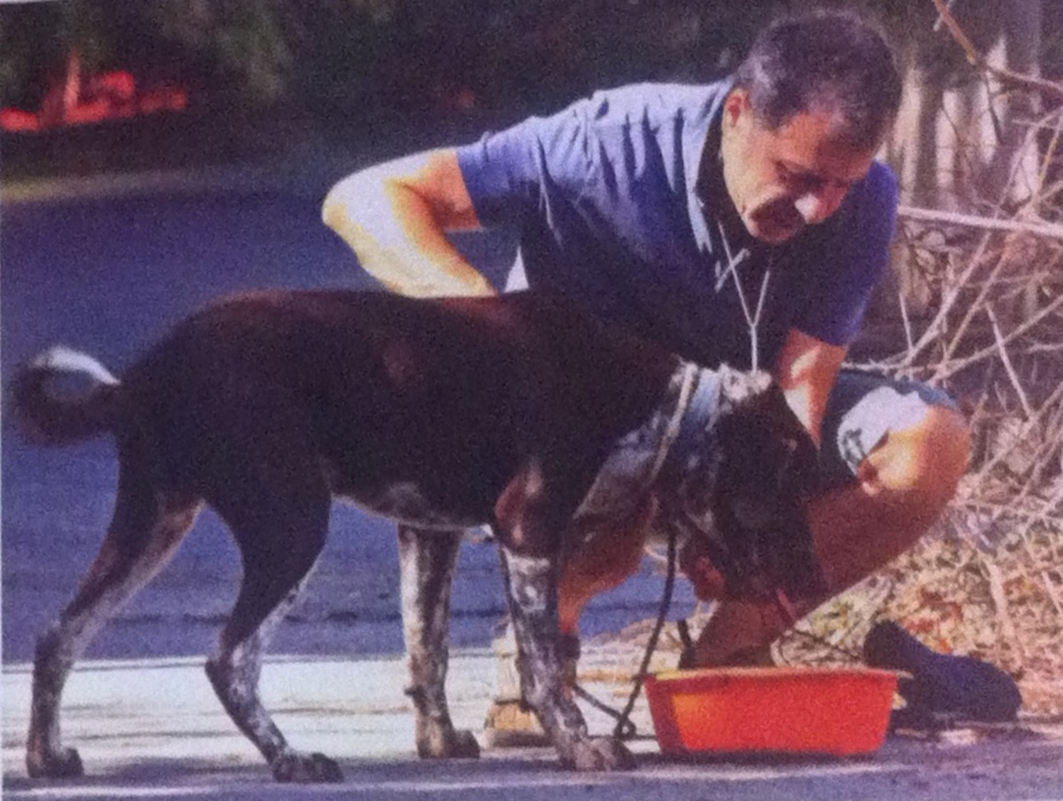 Η βόλτα του Σταύρου Θεοδωράκη με τον σκύλο του λίγο πριν φύγει για τη Σίφνο