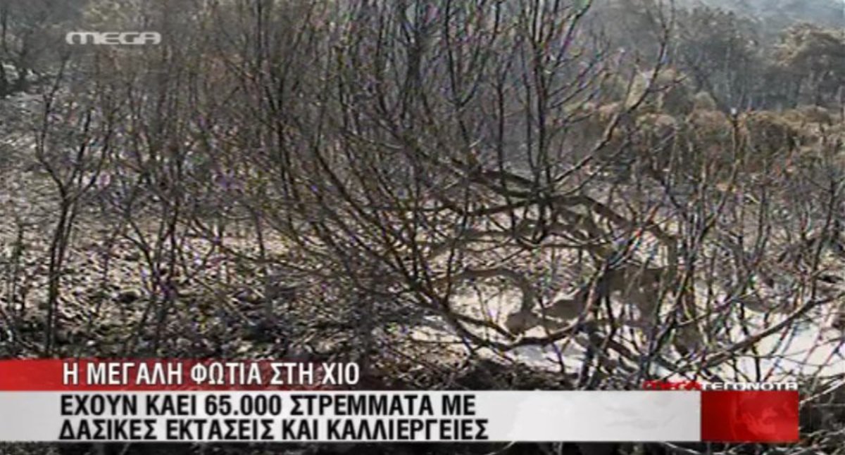 Κρανίου τόπος η Χίος