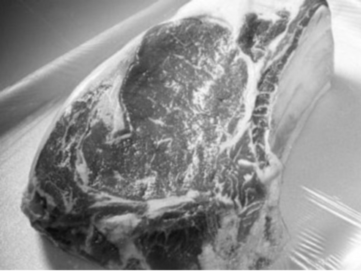 ΦΩΤΟ - ΑΡΧΕΙΟΥ