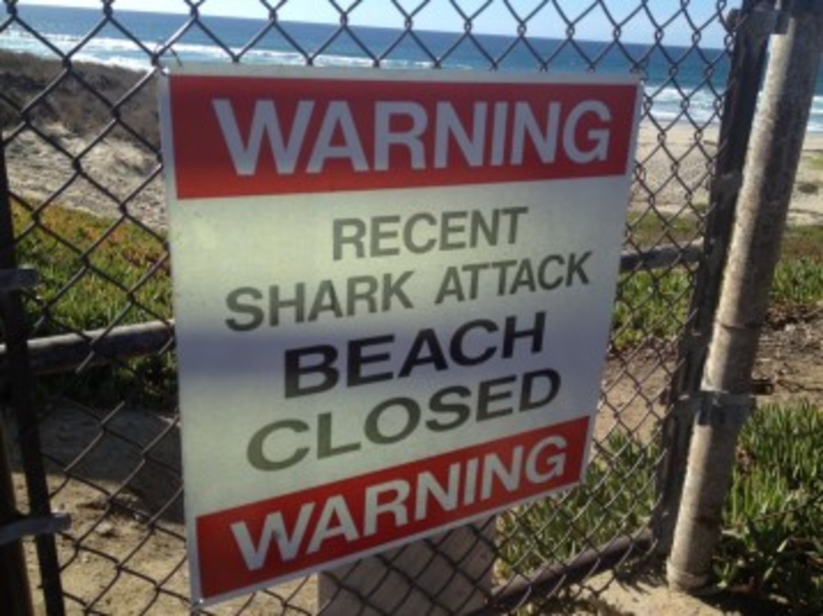 Ένας νεκρός από επίθεση καρχαρία! Τρόμος στη Σάντα Μπάρμπαρα