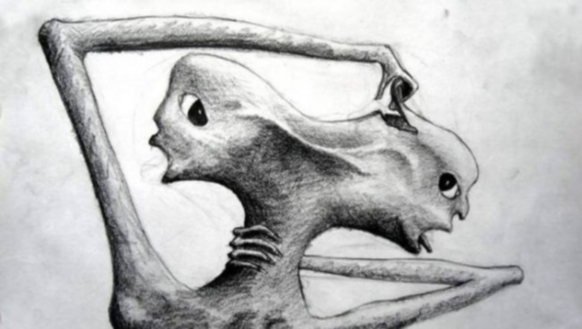 Μοναδικό: Έργα τέχνης από άτομα με σχιζοφρένεια