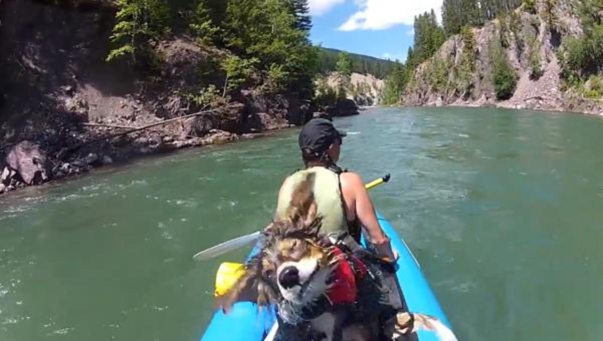 Τα καλύτερα βίντεο της Παρασκευής!