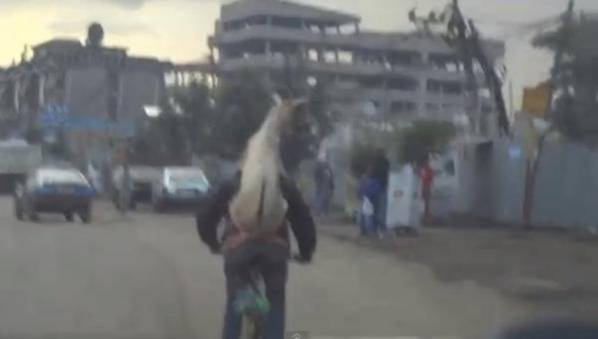 Τα καλύτερα βίντεο της Πέμπτης!