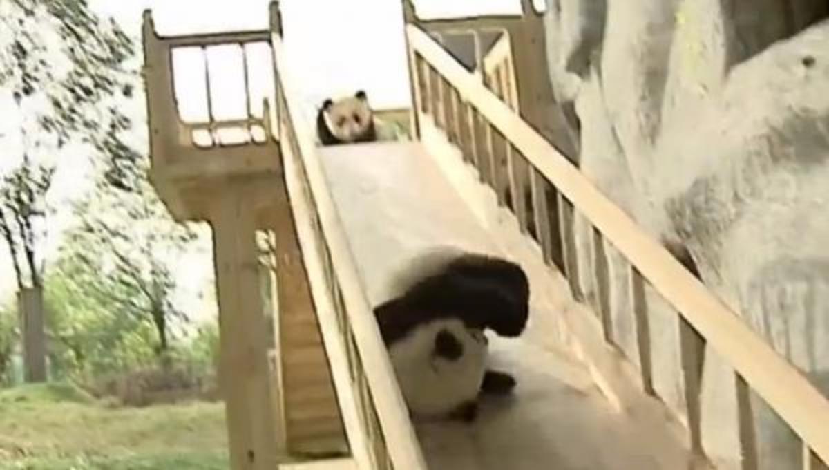 Τα καλύτερα βίντεο της Τετάρτης!