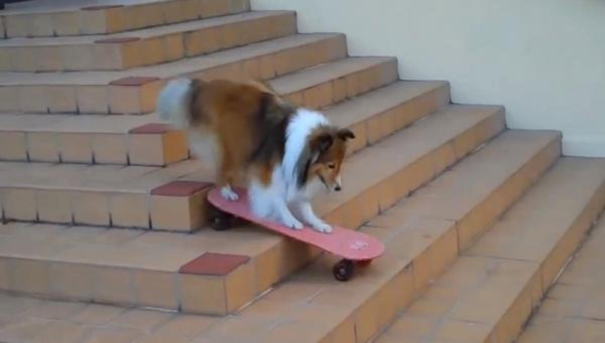 Τα καλύτερα βίντεο της Παρασκευής!