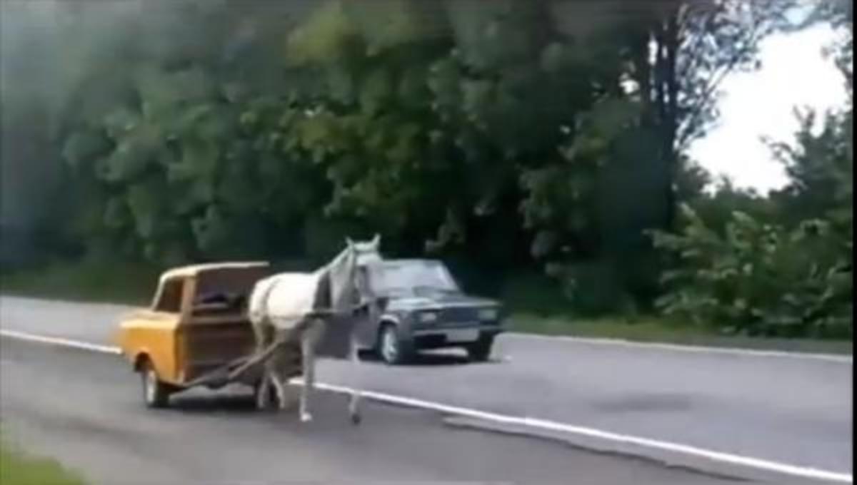 Τα καλύτερα βίντεο της Δευτέρας!