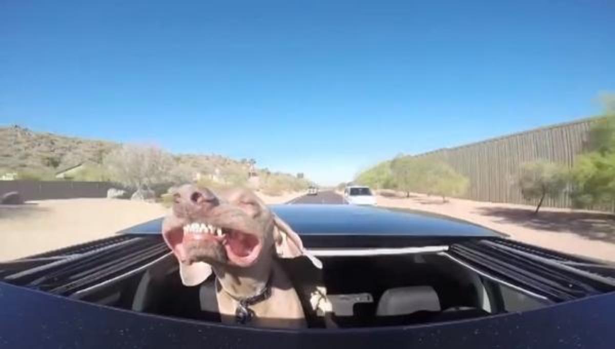 Τα καλύτερα βίντεο της Δευτέρας!