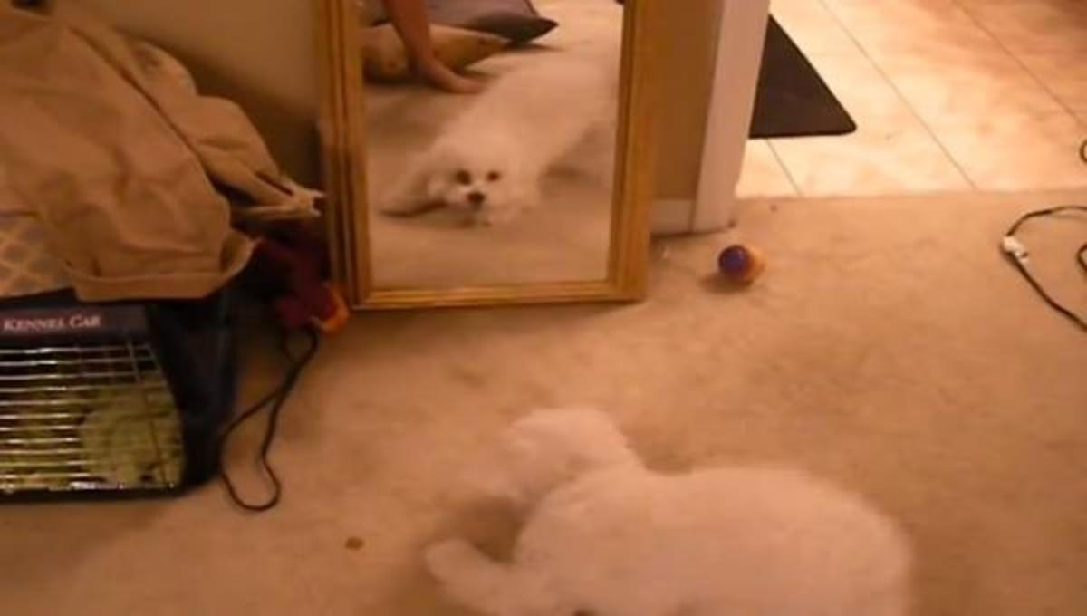 Τα καλύτερα βίντεο της Δευτέρας!