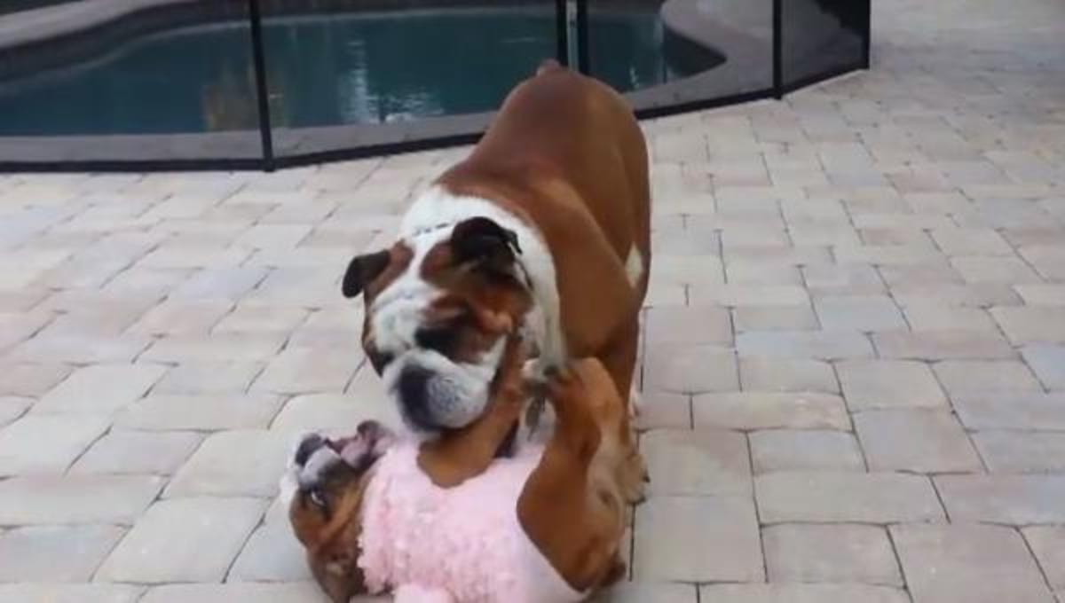 Τα καλύτερα βίντεο της Παρασκευής!