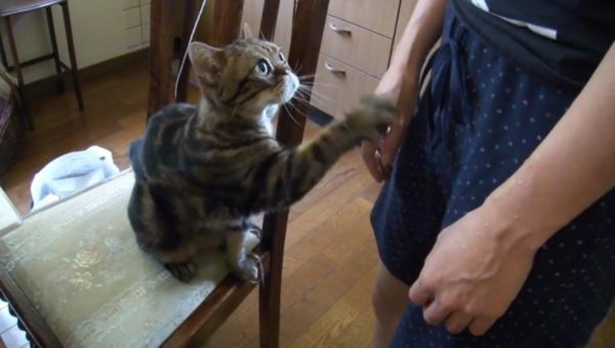 Τα καλύτερα βίντεο της Τετάρτης!