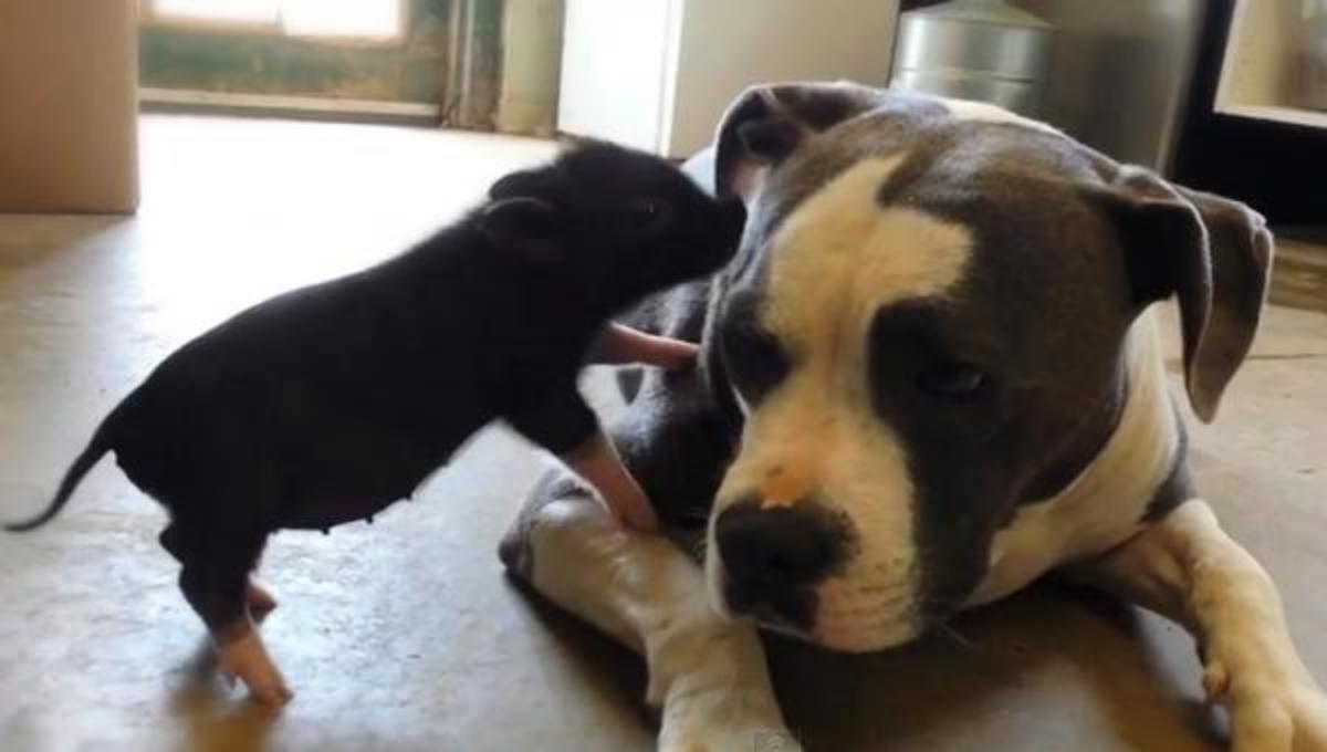 Τα καλύτερα βίντεο της Παρασκευής!