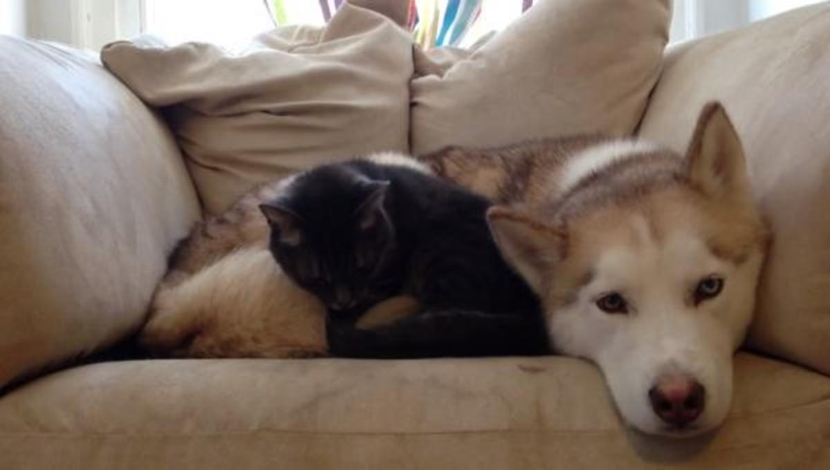 Τα καλύτερα βίντεο της Πέμπτης!