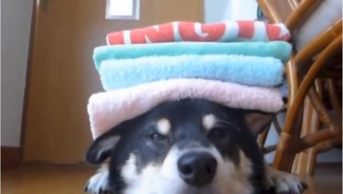 Τα καλύτερα βίντεο της Παρασκευής!