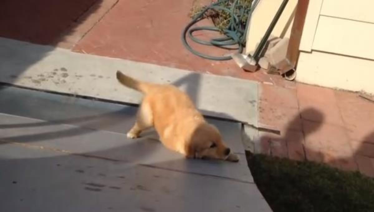 Τα καλύτερα βίντεο της Τρίτης!