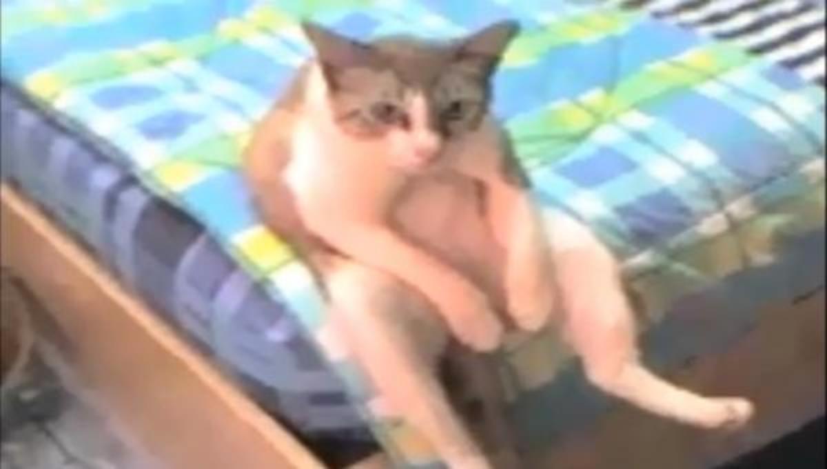 Τα καλύτερα βίντεο της Πέμπτης!