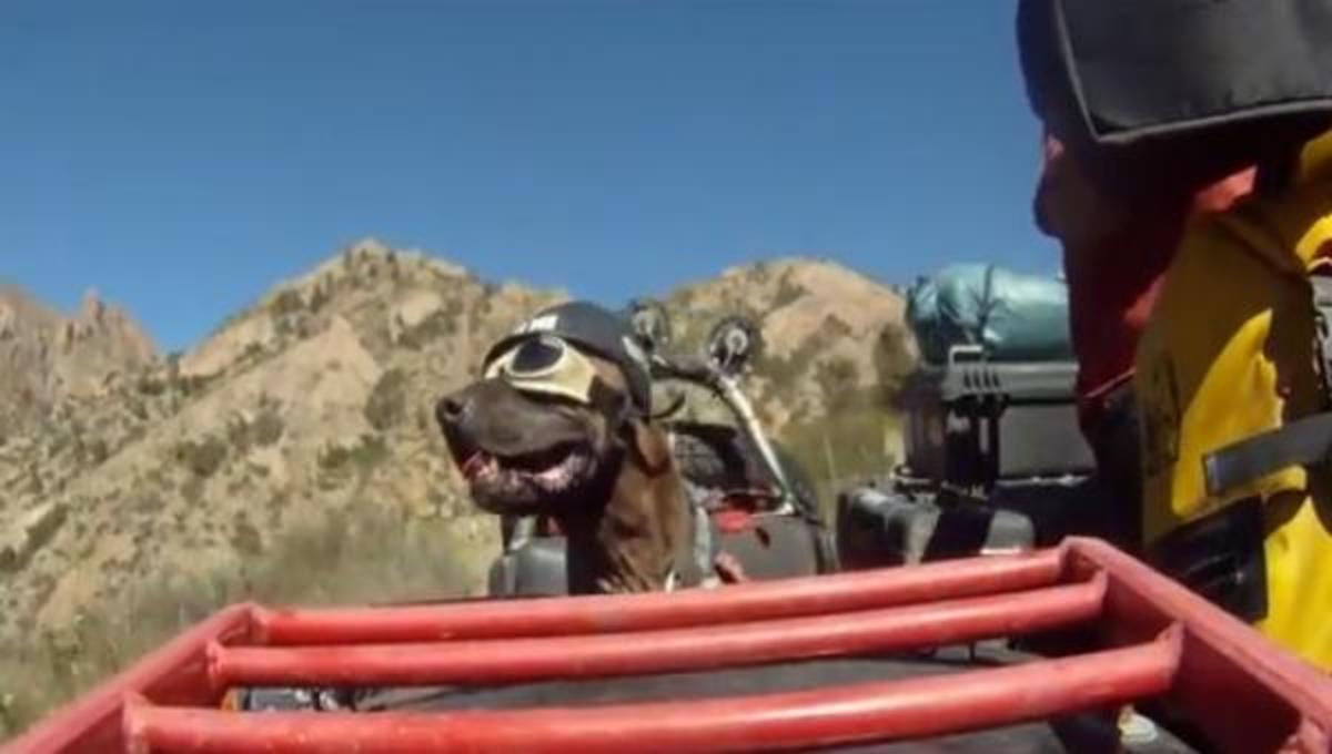 Τα καλύτερα βίντεο της Δευτέρας!