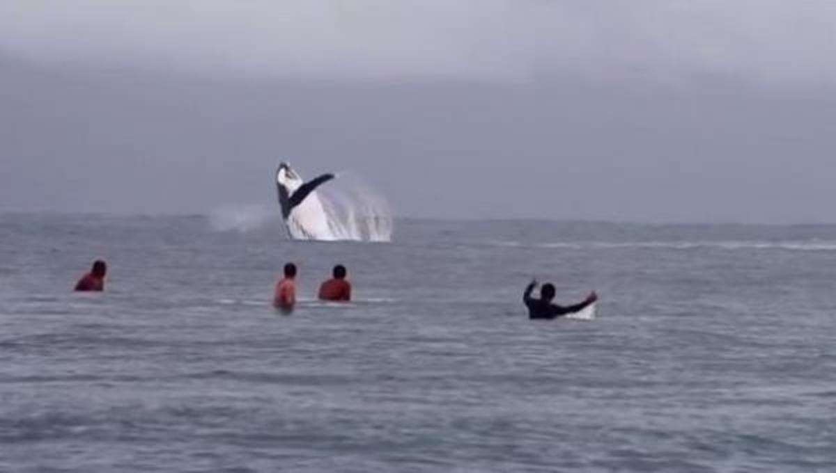 Tα καλύτερα βίντεο της Πέμπτης!