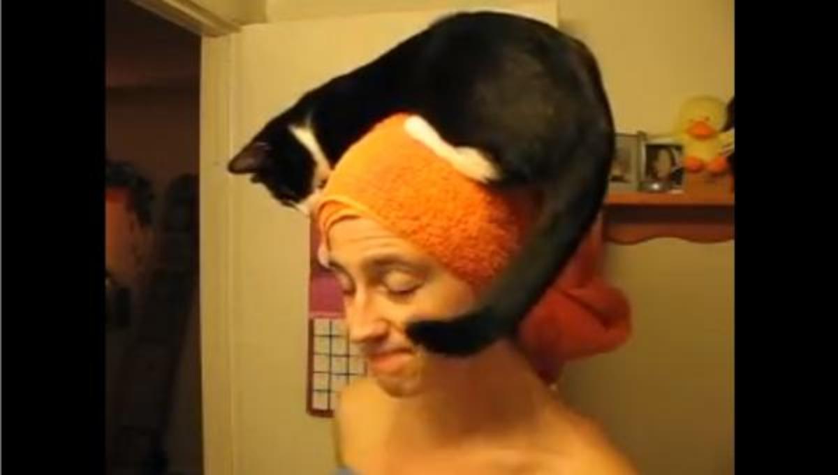 Τα καλύτερα βίντεο της Τρίτης!