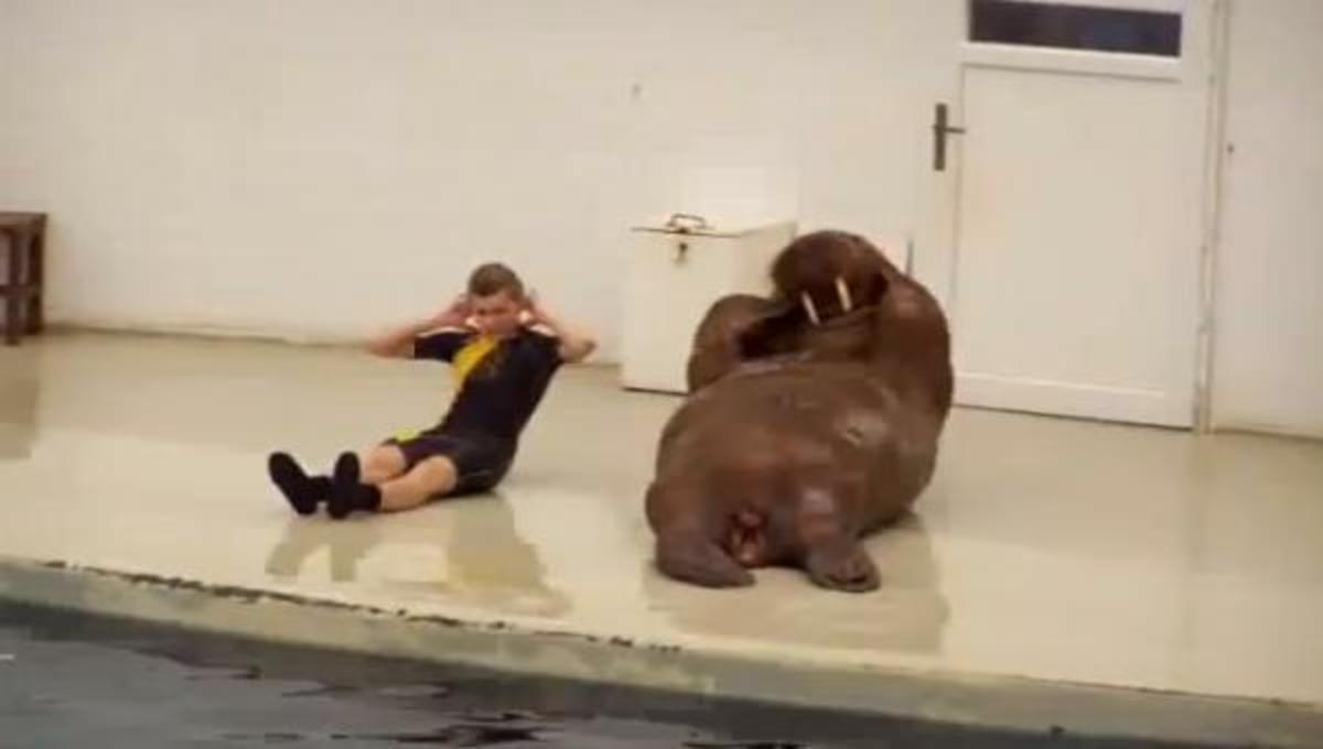 Κάνονας γυμναστικής με έναν θαλάσσιο ελέφαντα …και τα καλύτερα βίντεο της Παρασκευής