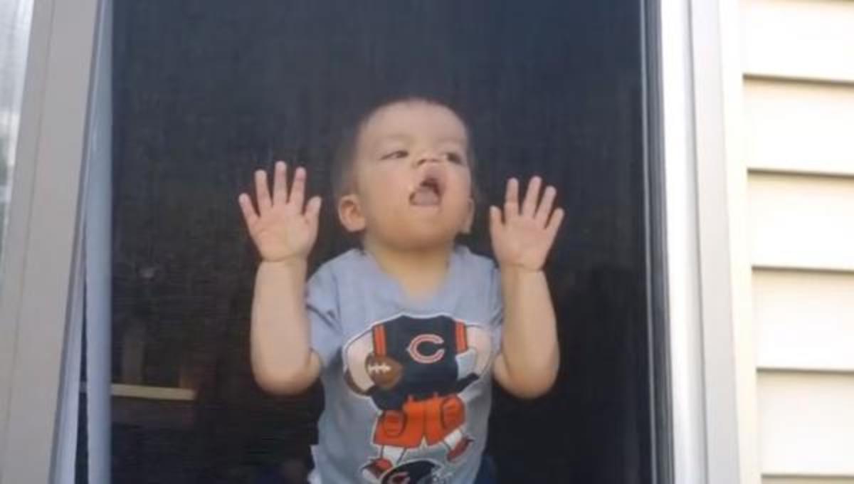 7 λόγοι που τα μωρά αντιδρούν σαν μεθυσμένοι ενήλικες και τα καλύτερα βίντεο της ημέρας