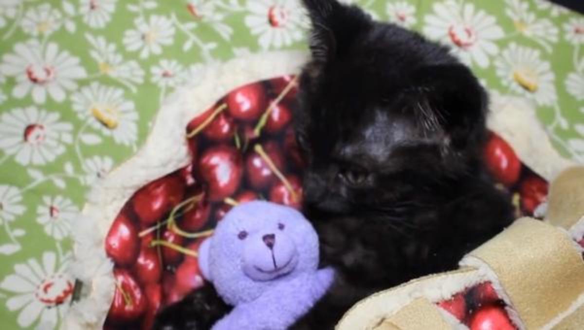 Τα καλύτερα βίντεο της Τρίτης!