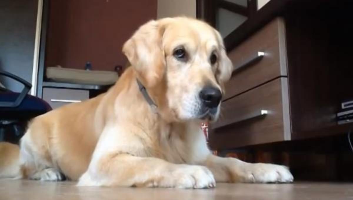 Τα καλύτερα βίντεο της Δευτέρας!