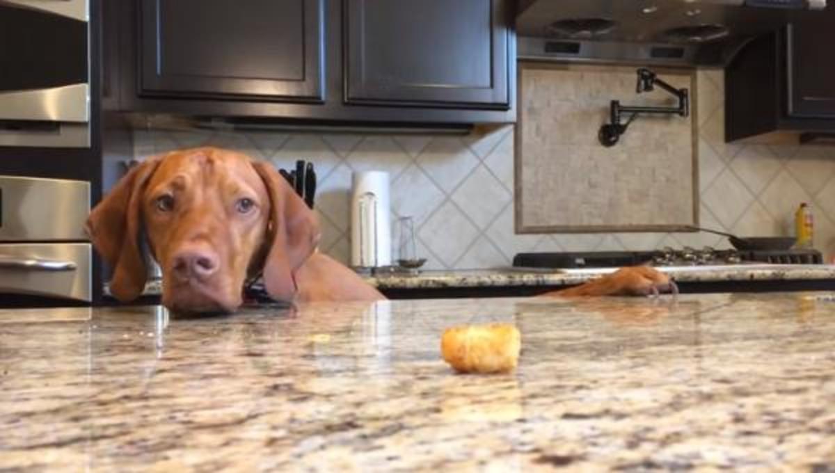 Τα καλύτερα βίντεο της Τετάρτης!