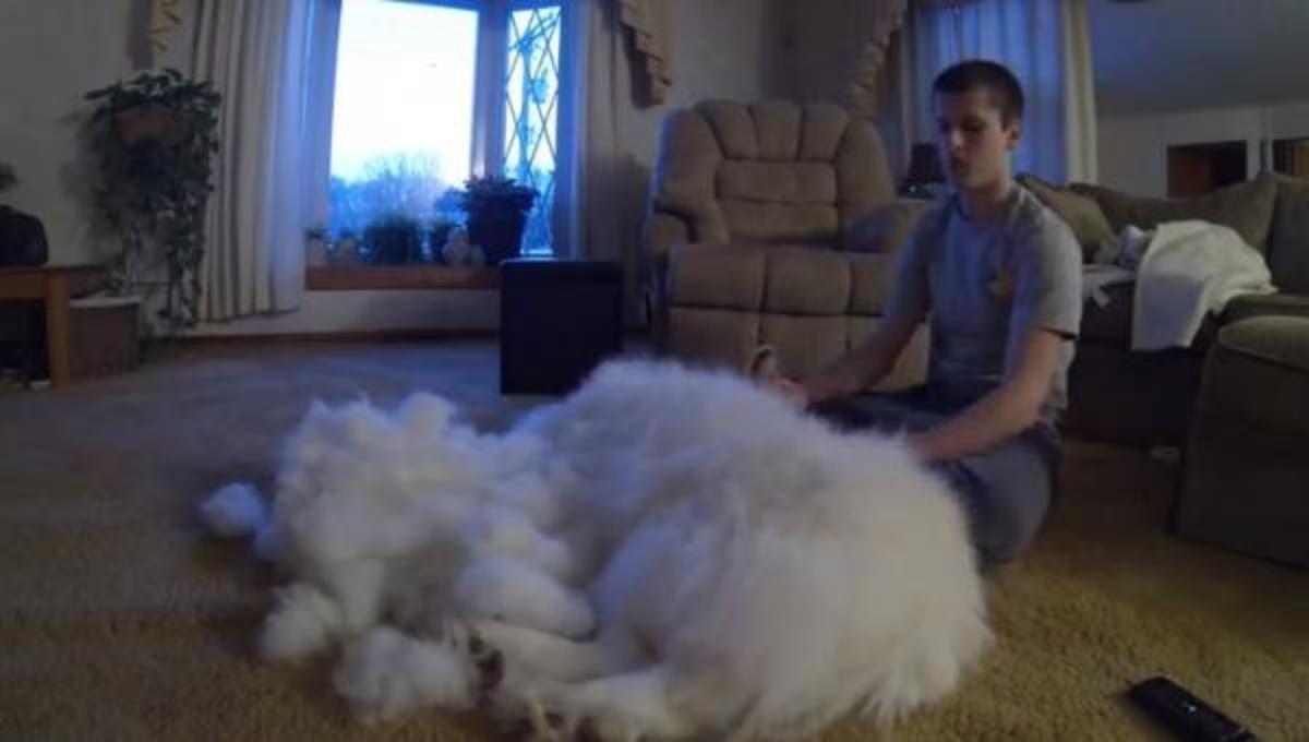 Τα καλύτερα βίντεο της Τετάρτης!