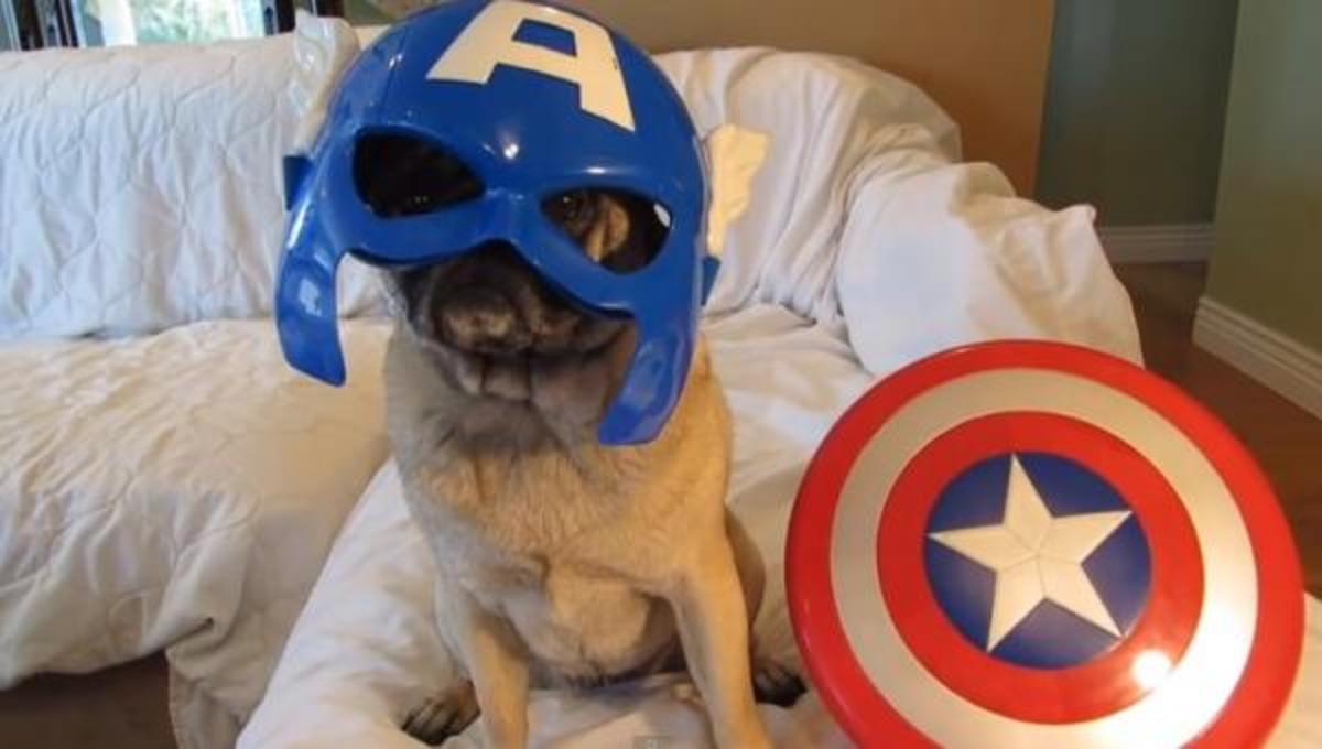 Τα καλύτερα βίντεο της Δευτέρας!