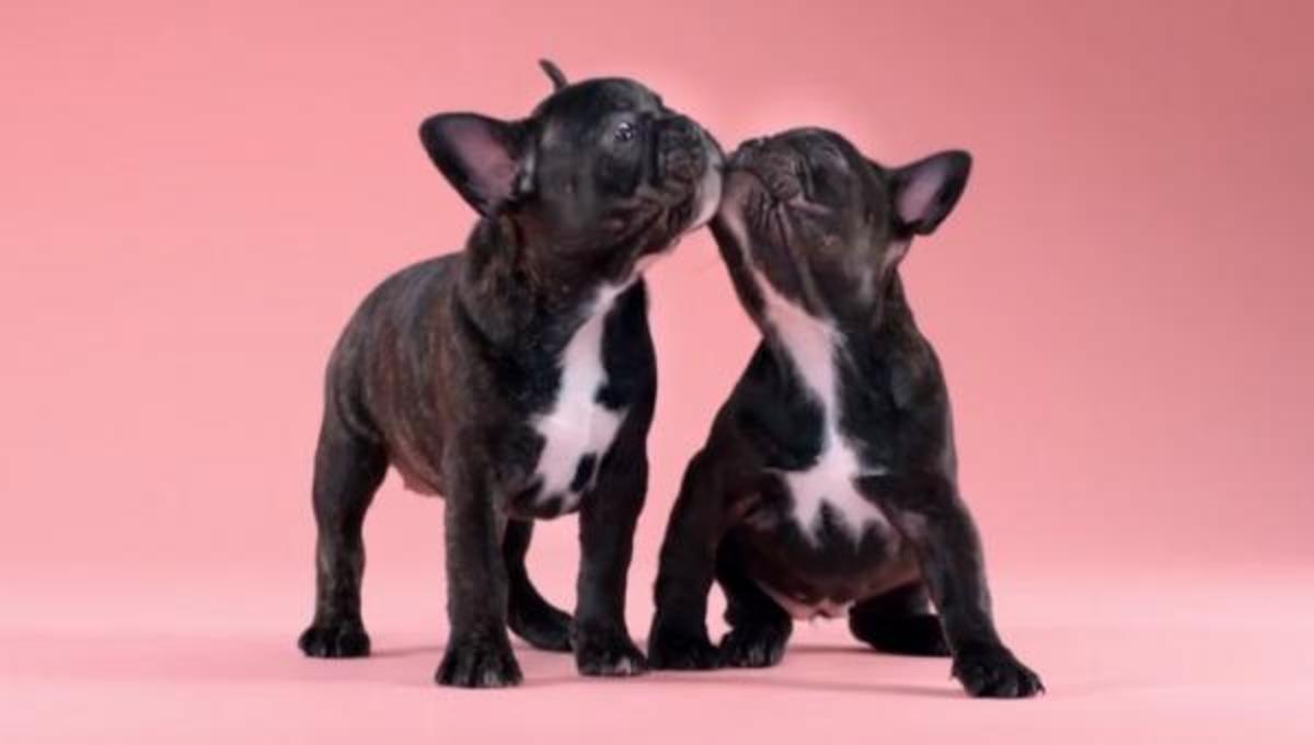 Τα καλύτερα βίντεο της Παρασκευής!