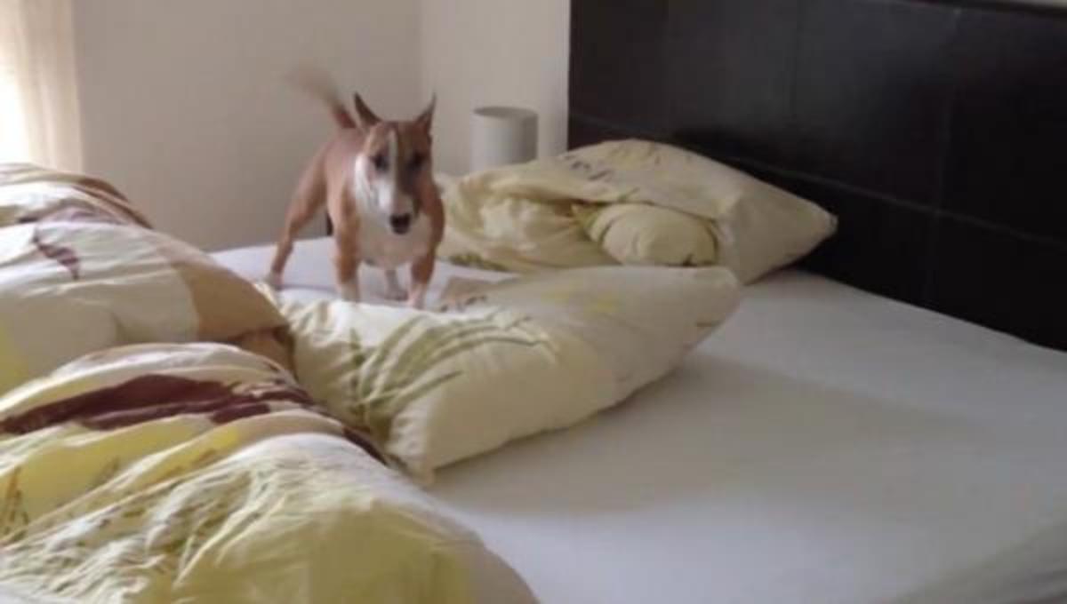 Τα καλύτερα βίντεο της Τρίτης!