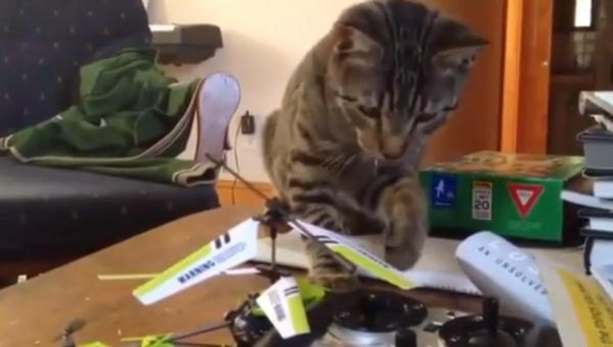 Τα καλύτερα βίντεο της Τετάρτης!