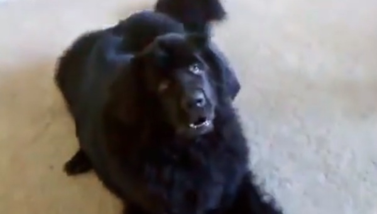 Τα καλύτερα βίντεο της Παρασκευής!