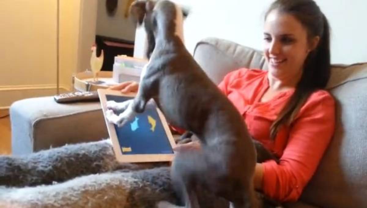 Τα καλύτερα βίντεο της Τετάρτης!