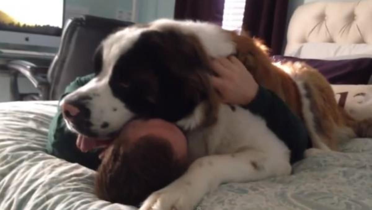 Τα καλύτερα βίντεο της Δευτέρας!