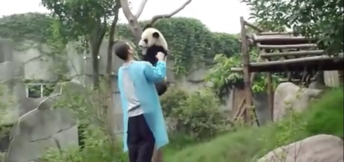 Το πάντα που θέλει αγκαλιές …και τα καλύτερα βίντεο της Πέμπτης