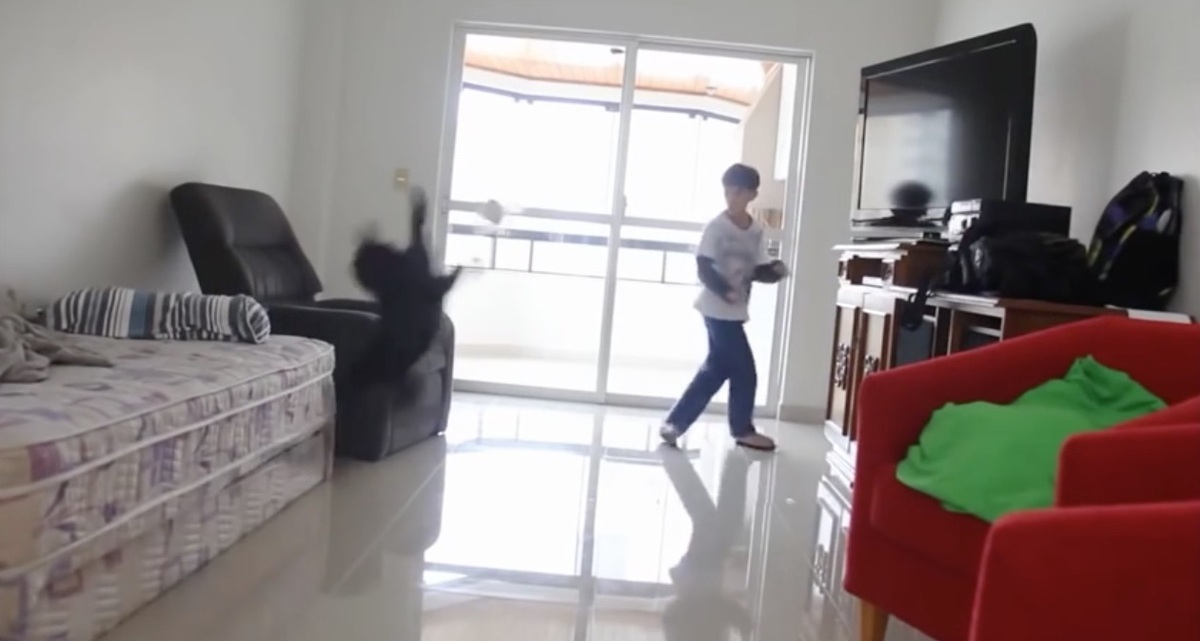 H γάτα σε ρόλο τερματοφύλακα …και τα καλύτερα βίντεο της Πέμπτης