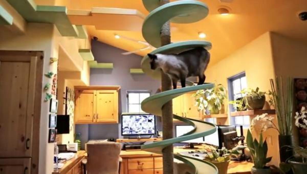 Ένα σπίτι ειδικά για γάτες …και τα καλύτερα βίντεο της Τρίτης