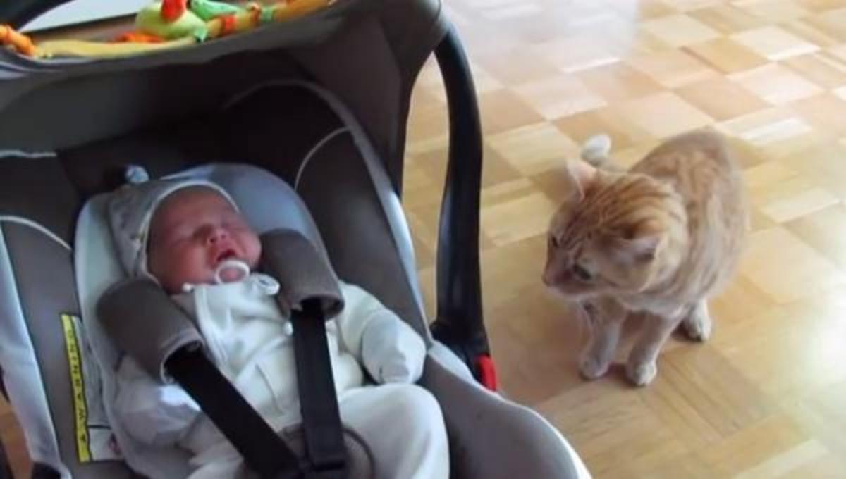 Tα καλύτερα βίντεο της Τετάρτης!