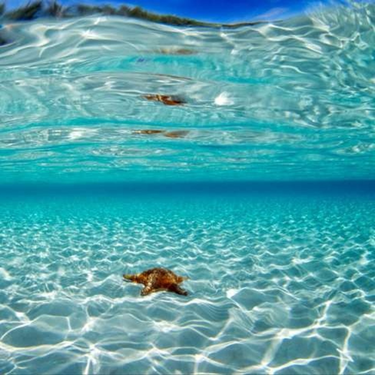 Όλα για την…θάλασσα