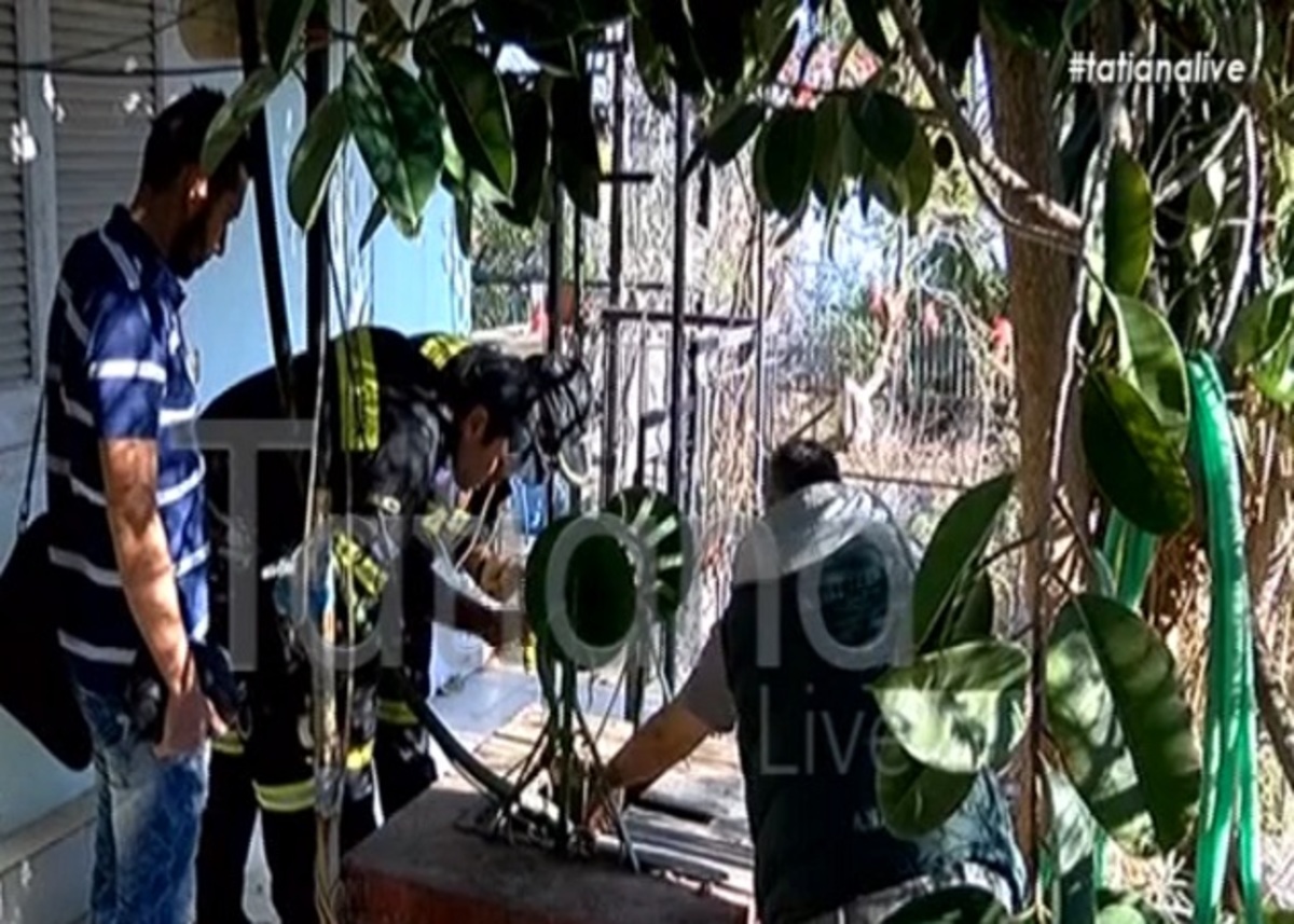 Νέες συγκλονιστικές αποκαλύψεις για την αγνοούμενη Έλενα – Βίντεο