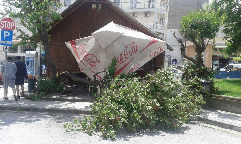 ΦΩΤΟ από το xanthinea