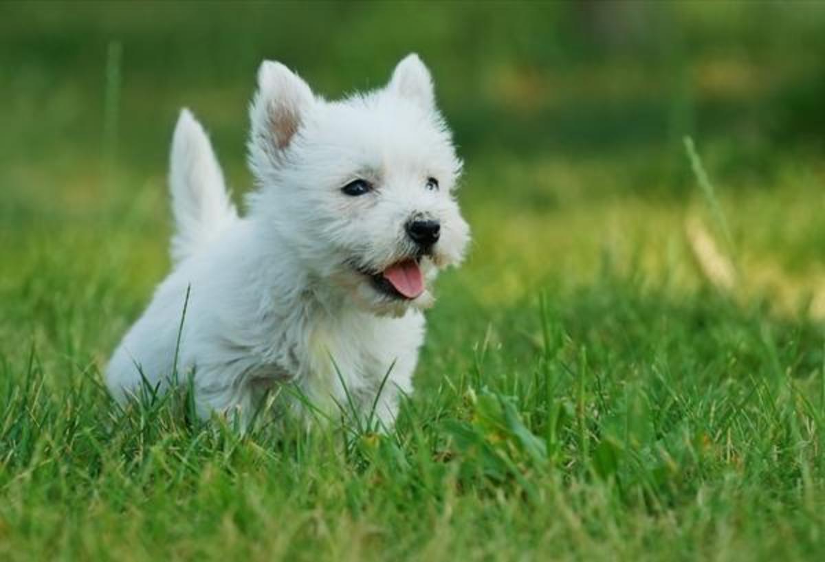 ΦΩΤΟ ΑΡΧΕΙΟΥ