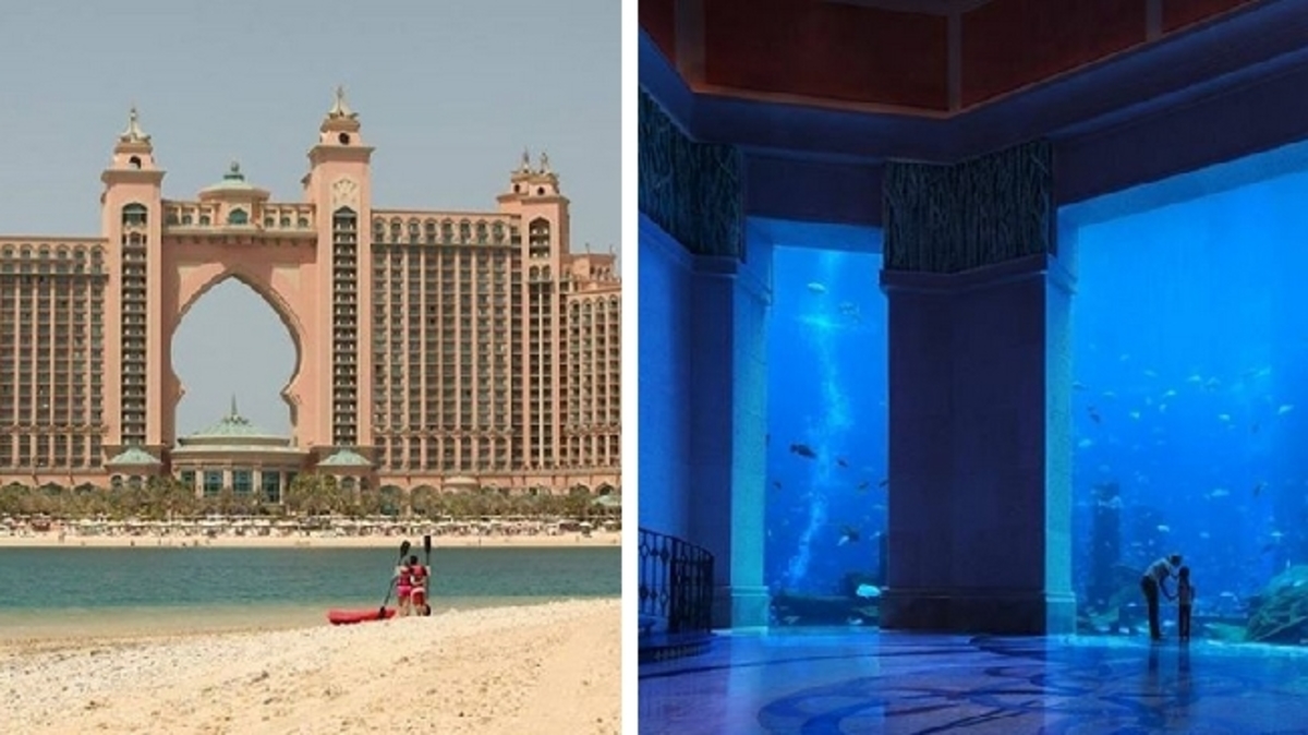 Η μαγεία της φύσης… κάτω από θάλασσα σε 10 εκπληκτικές φωτογραφίες!