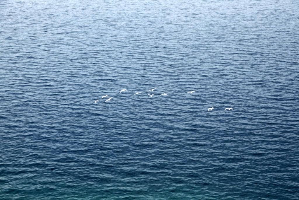 ΦΩΤΟ ΑΡΧΕΙΟΥ EUROKINISSI