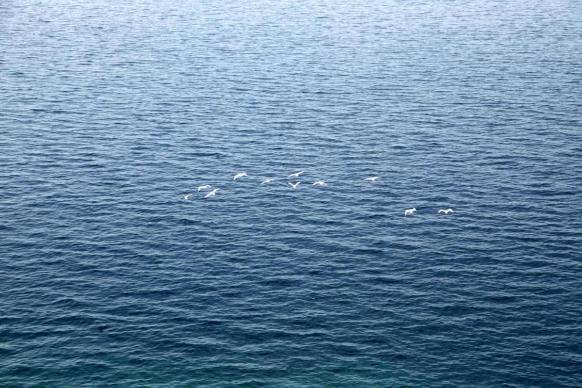 ΦΩΤΟ ΑΡΧΕΙΟΥ EUROKINISSI