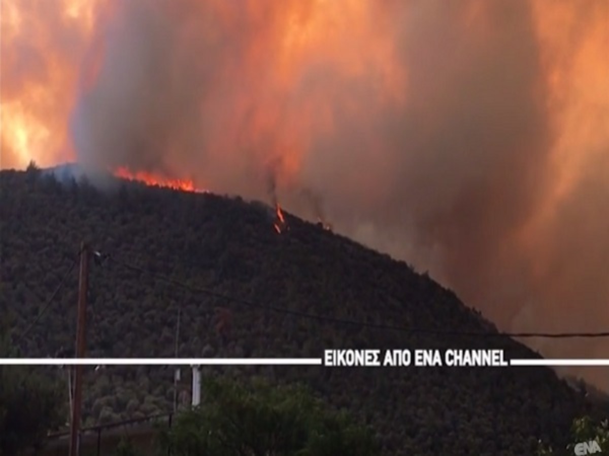 Φωτιά στη Θάσο: “Μάχη” με τις φλόγες για δεύτερη μέρα! Κάηκαν σπίτια, απειλείται το χωριό Θεολόγος – Απελπισμένοι οι κάτοικοι