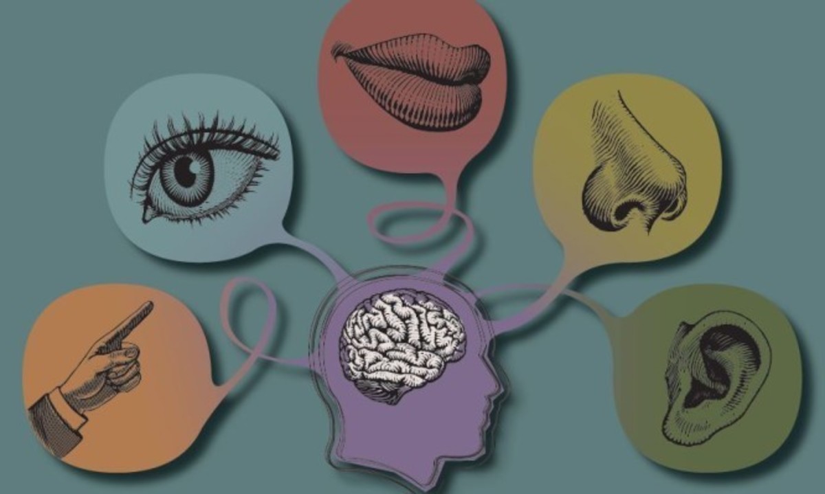 Με ποια σειρά χάνονται οι 5 αισθήσεις όσο μεγαλώνουμε