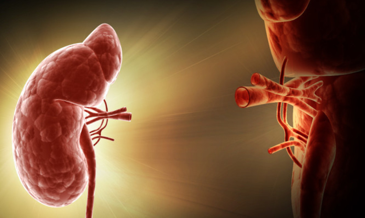 Πότε η μεταμόσχευση νεφρού είναι εφικτή ακόμα και από μη κατάλληλο δότη