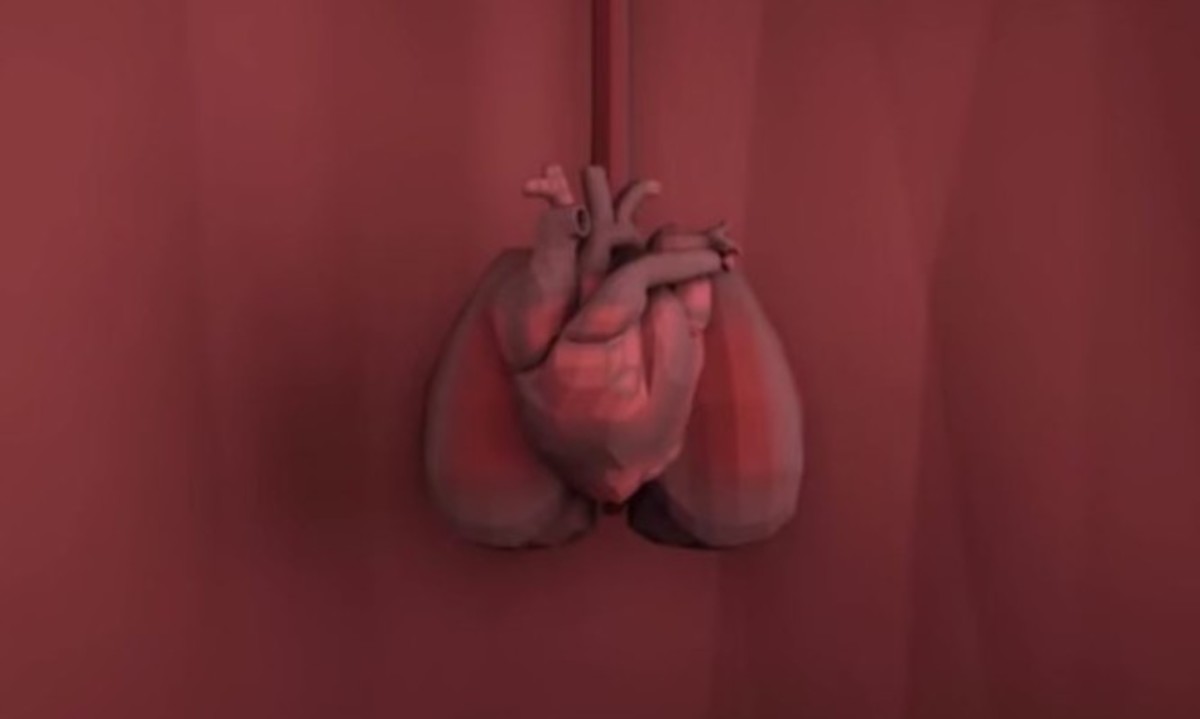 Τι συμβαίνει μέσα στο σώμα! Σαρώνει στο YouTube βίντεο με περιήγηση 360°